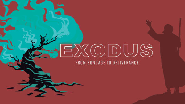 Exodus 1 | Times Have Changed Image